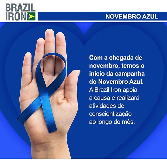 Blue November | Brazil Iron