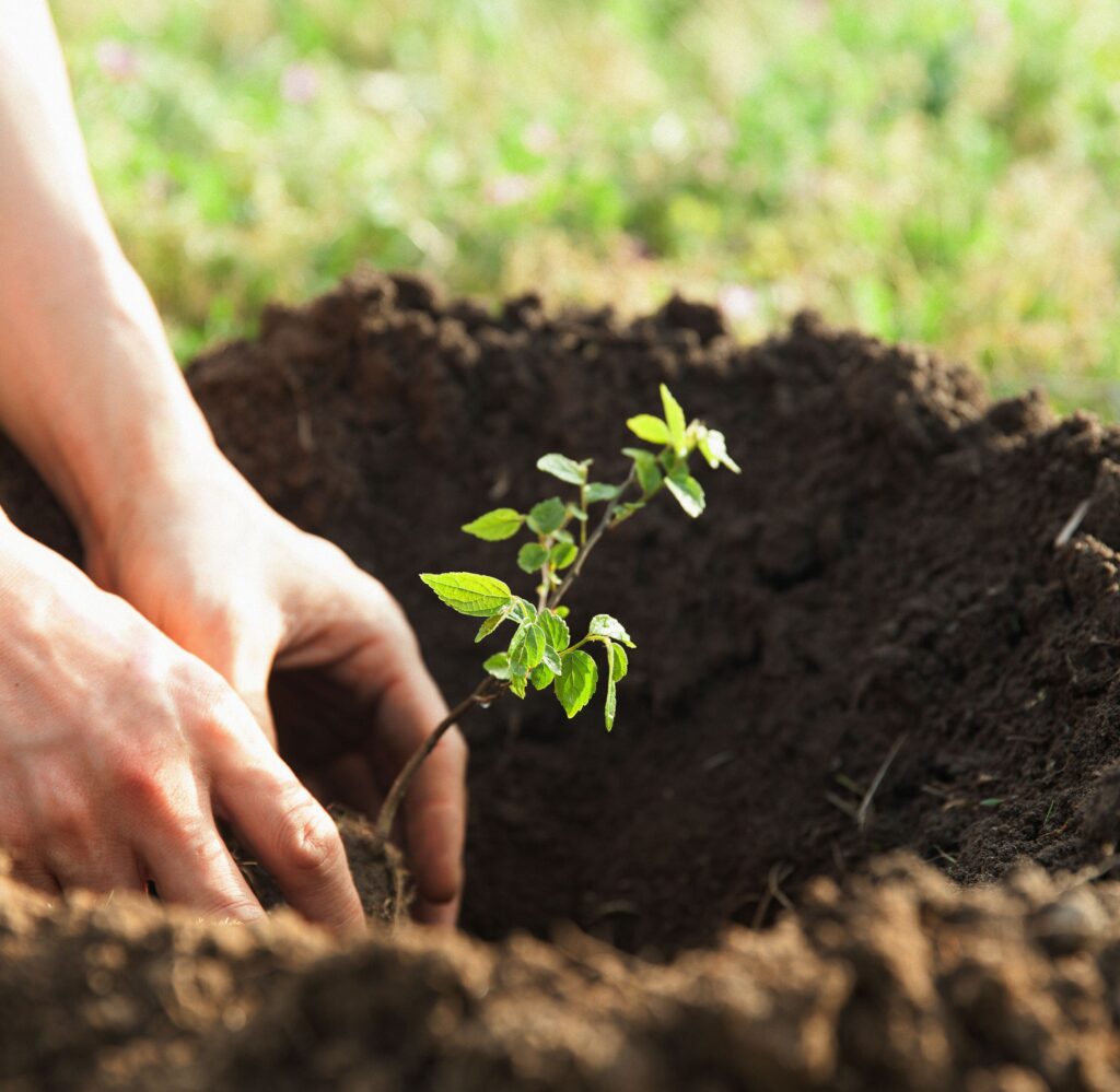 Brazil Iron Reinforces Commitment to Sustainability During Environment Week in Piatã and Abaíra