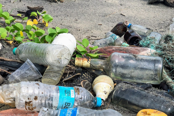 Collecting litter on local roads